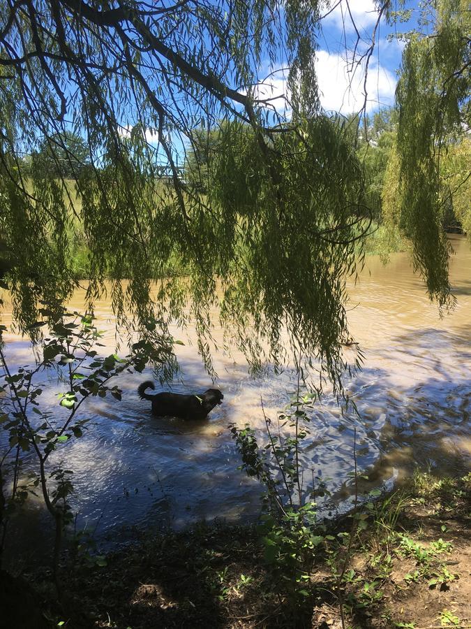 Riverview Country Inn Van Reenen Екстериор снимка