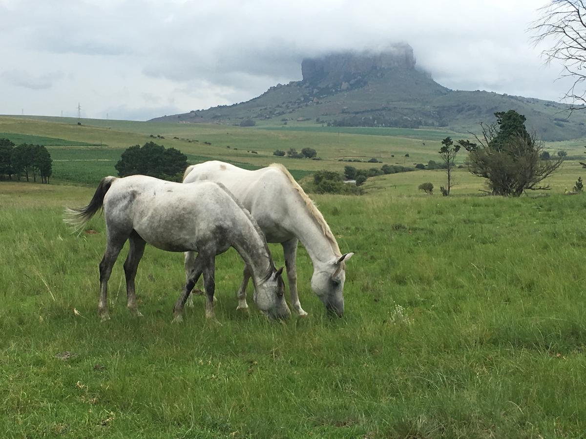 Riverview Country Inn Van Reenen Екстериор снимка