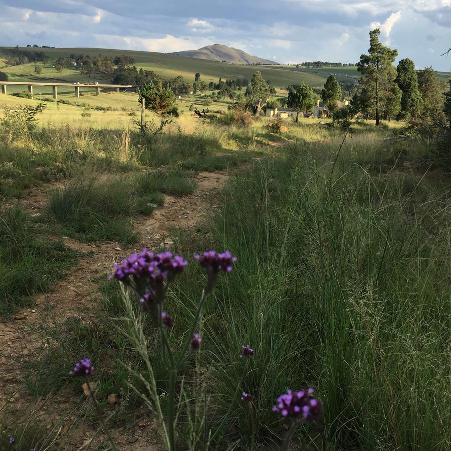 Riverview Country Inn Van Reenen Екстериор снимка